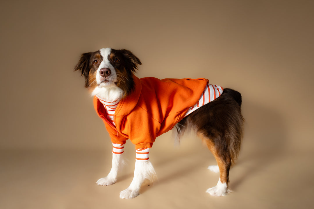 Turtleneck Tshirt | Tangerine Stripe