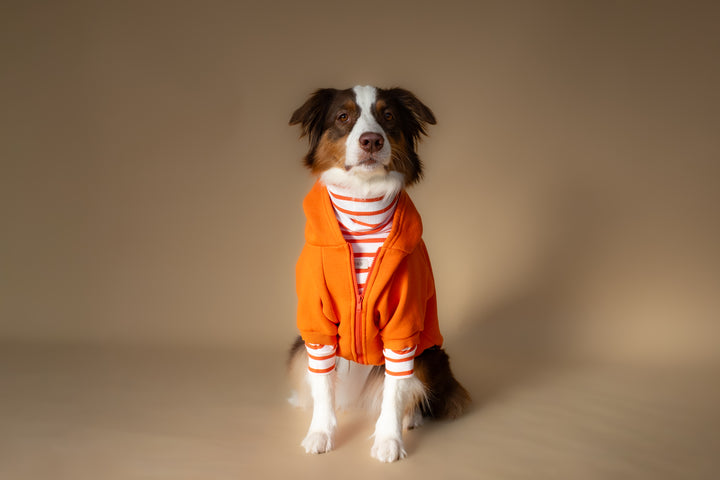 Turtleneck Tshirt | Tangerine Stripe