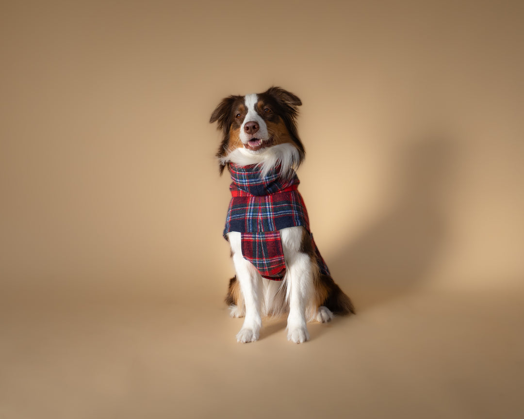 Chicago Vest | Crimson Tartan Plaid