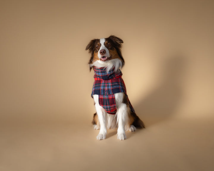 Chicago Vest | Crimson Tartan Plaid