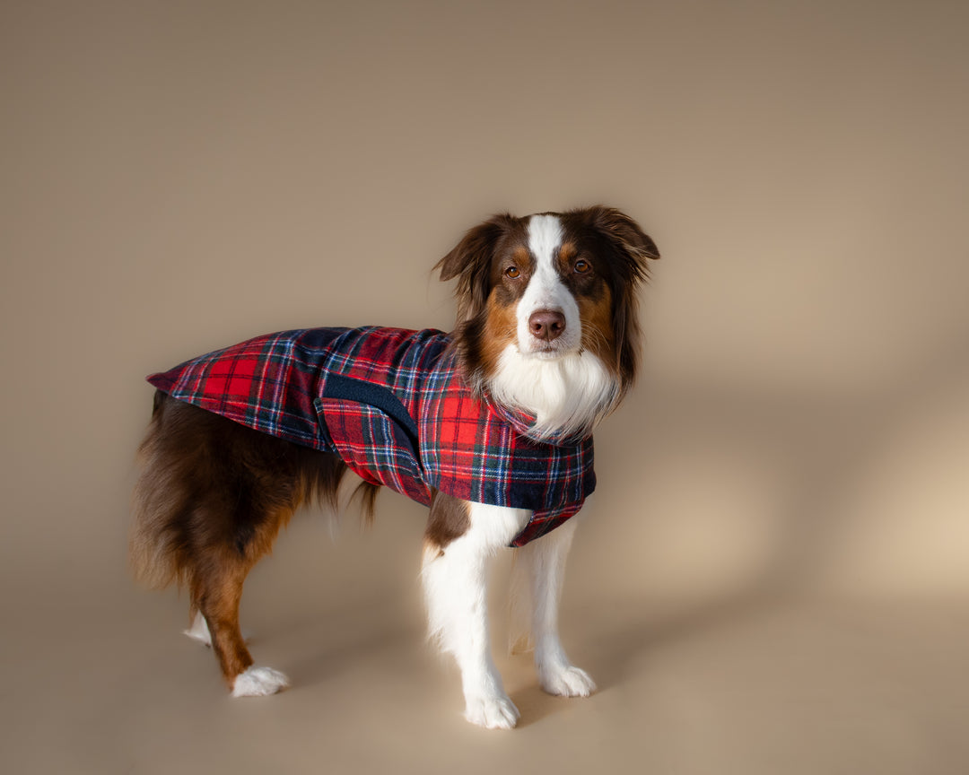 Chicago Vest | Crimson Tartan Plaid