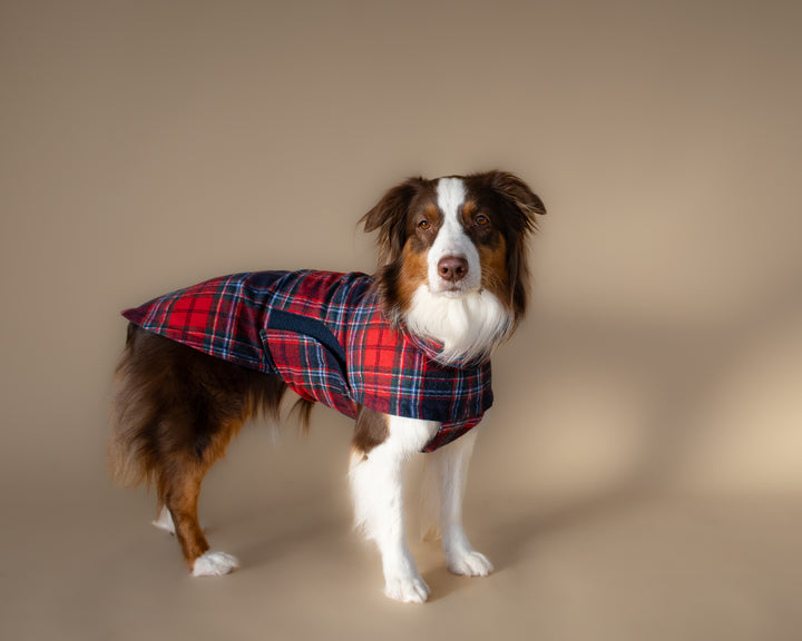 Chicago Vest | Crimson Tartan Plaid