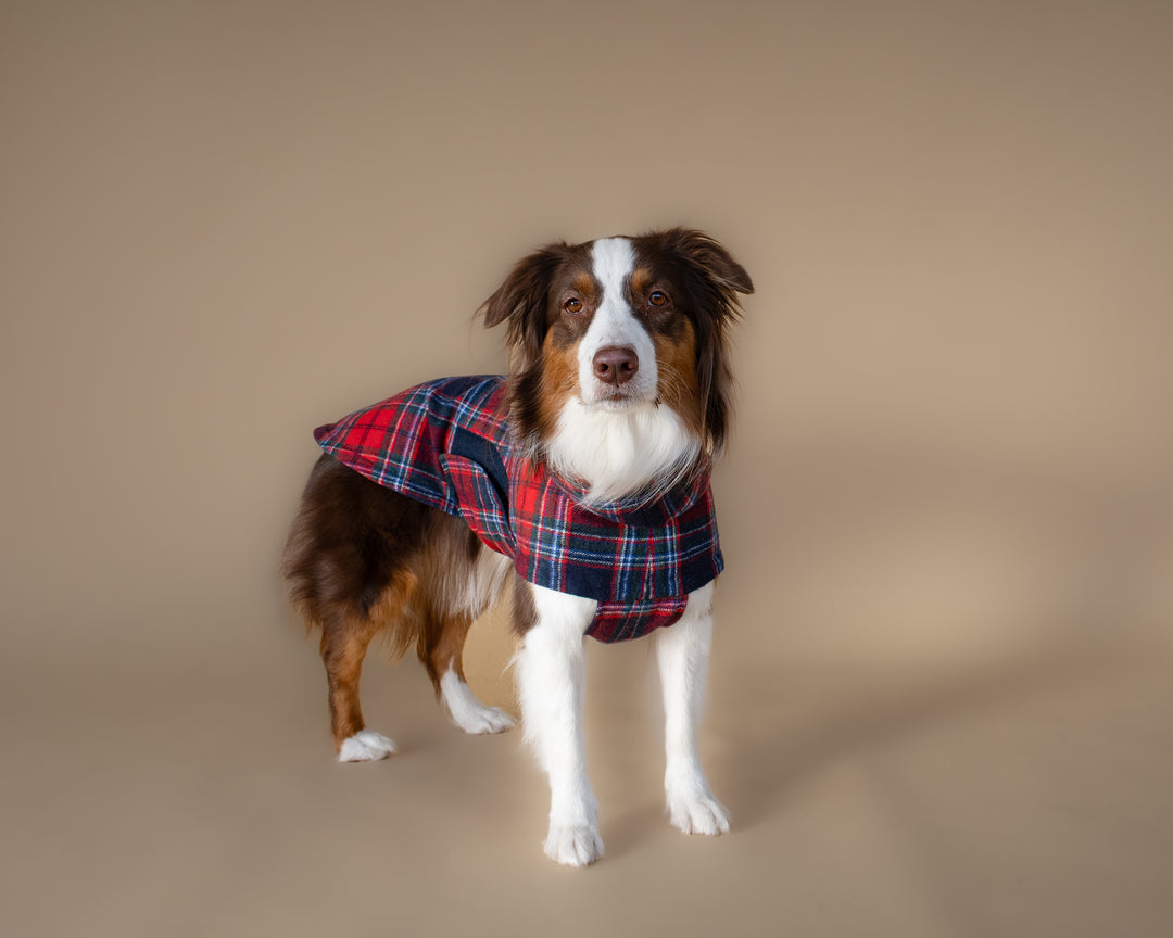 Chicago Vest | Crimson Tartan Plaid