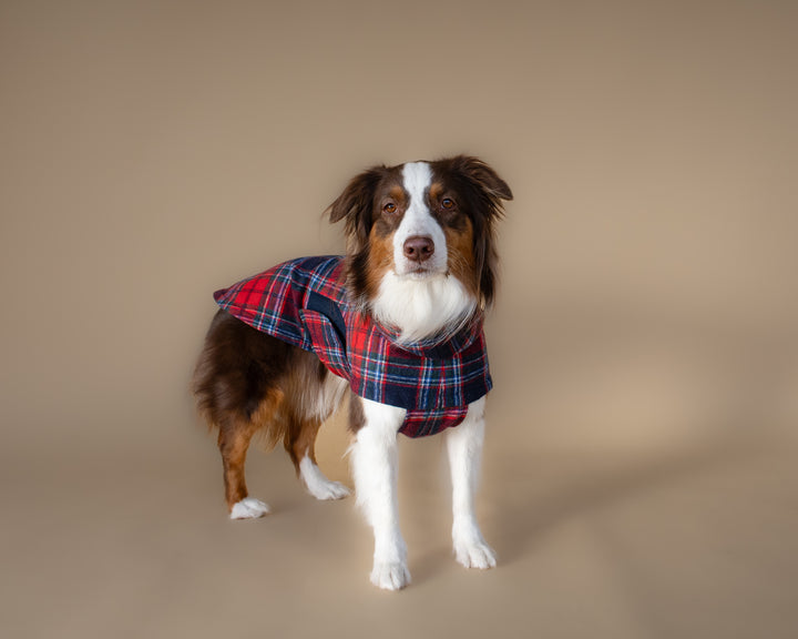 Chicago Vest | Crimson Tartan Plaid