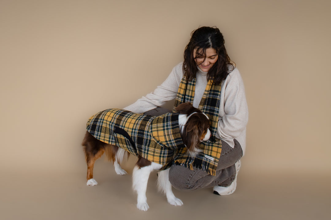 AskyxHuman | Golden Plaid Scarf