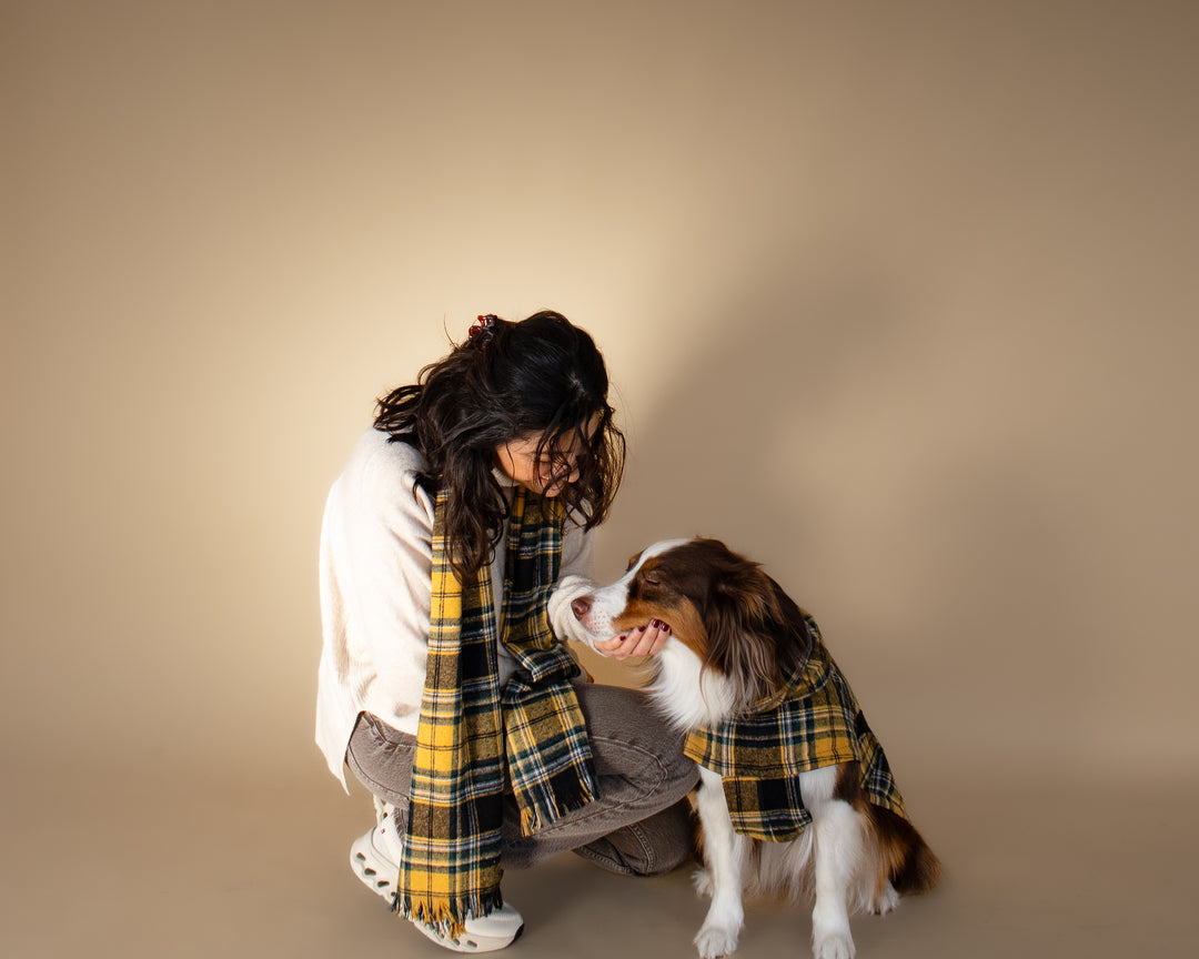 Chicago Vest | Golden Plaid