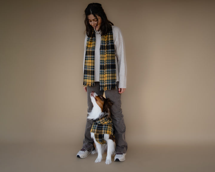 AskyxHuman | Golden Plaid Scarf