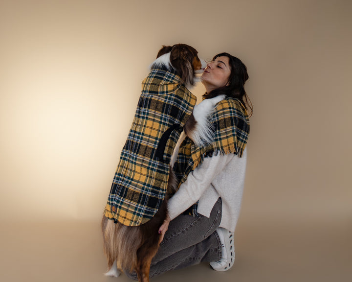 AskyxHuman | Golden Plaid Scarf