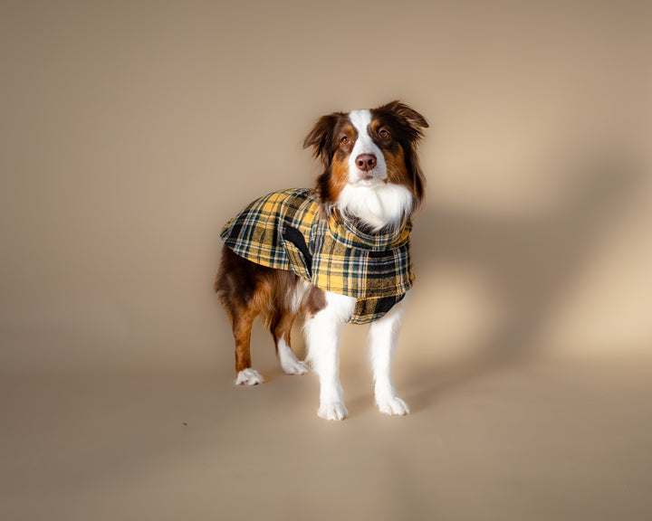 Chicago Vest | Golden Plaid