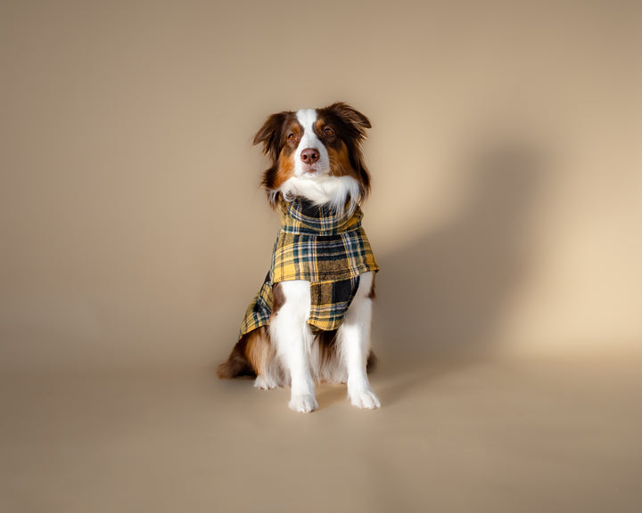 Chicago Vest | Golden Plaid