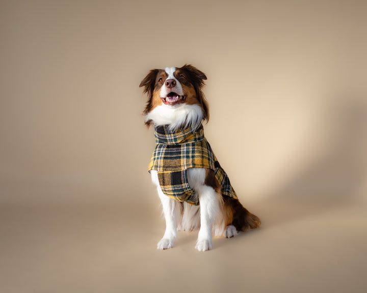Chicago Vest | Golden Plaid