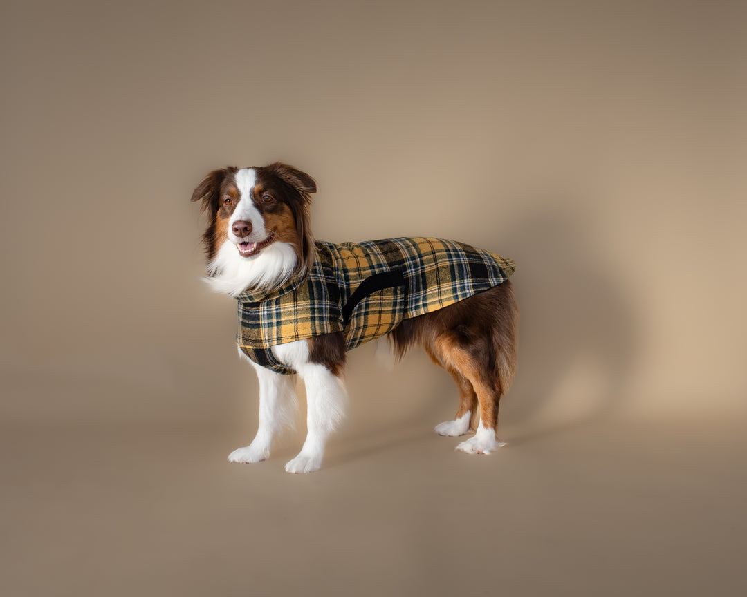 Chicago Vest | Golden Plaid