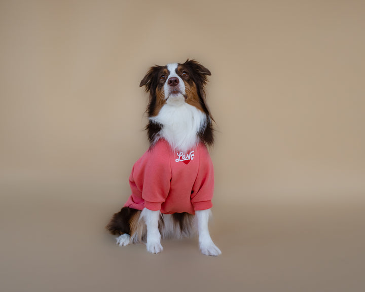 Love Sweatshirt | Coral Rose