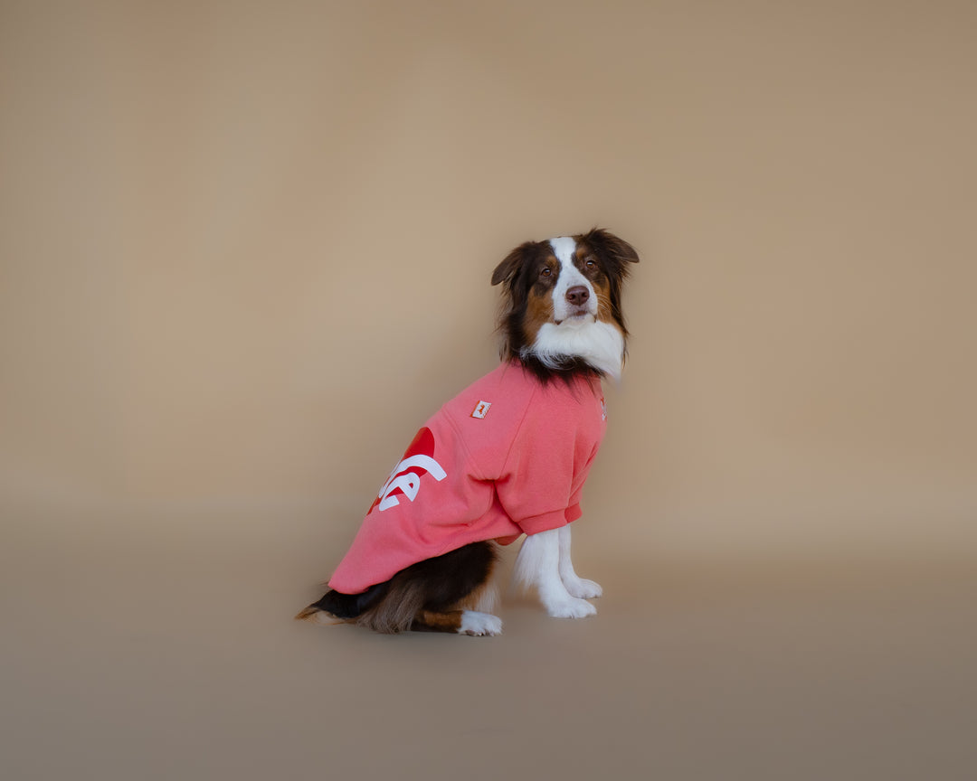 Love Sweatshirt | Coral Rose