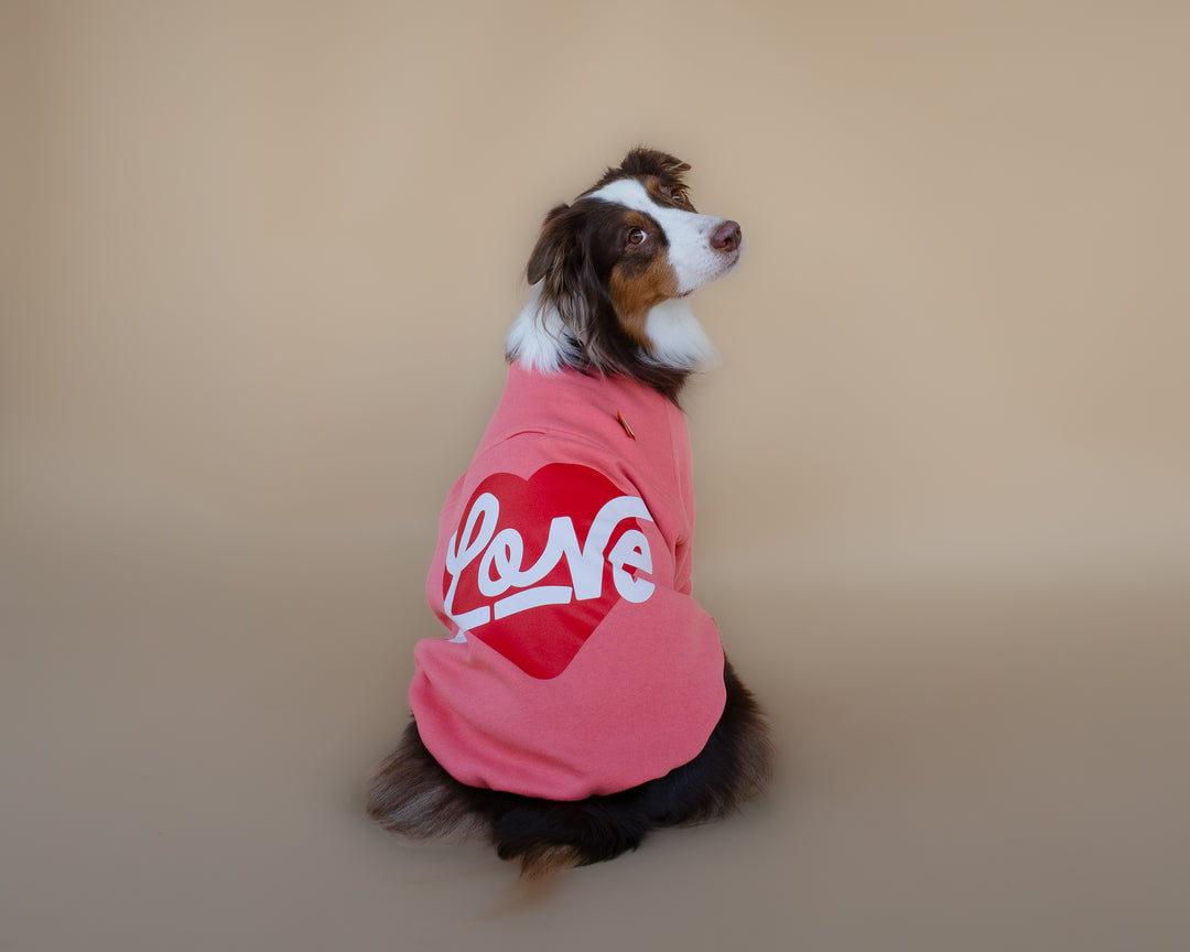 Love Sweatshirt | Coral Rose