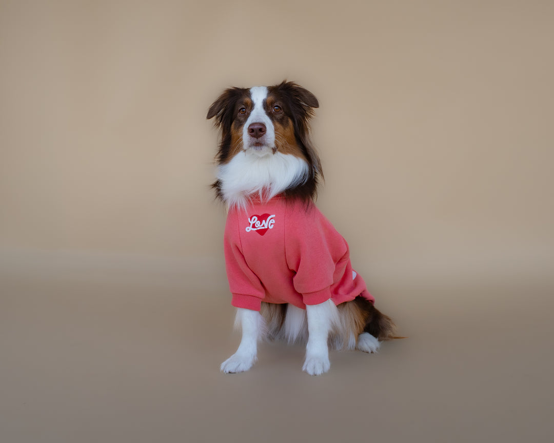 Love Sweatshirt | Coral Rose
