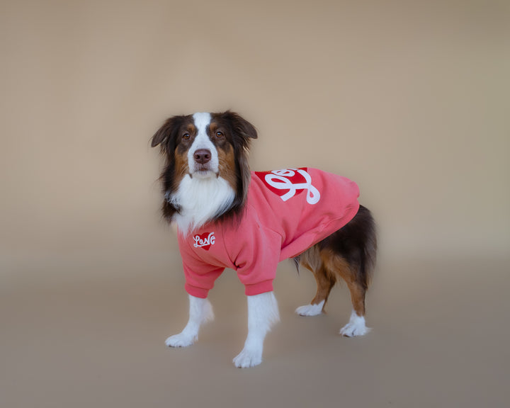 Love Sweatshirt | Coral Rose