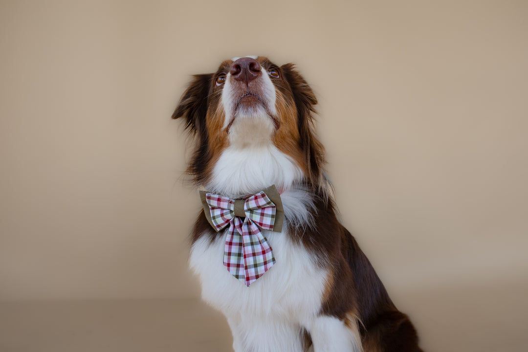 | Ribbon Bow | Mulberry Plaid