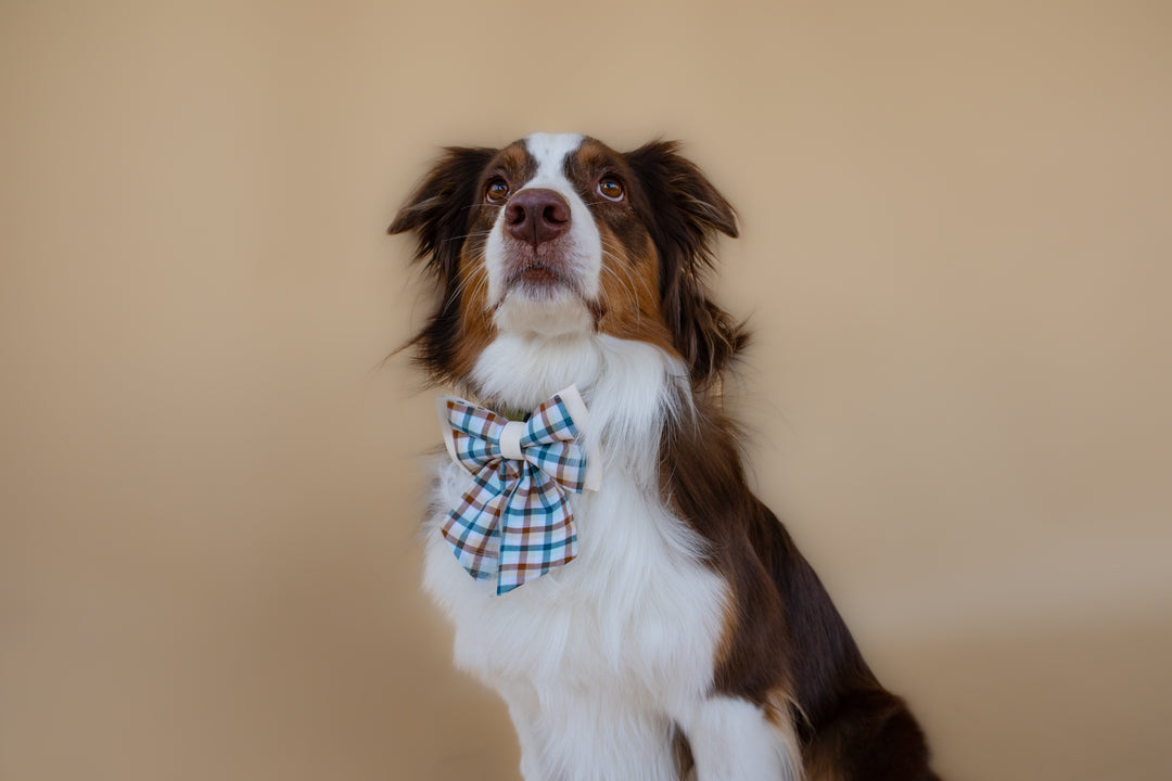 | Ribbon Bow | Cedar Plaid