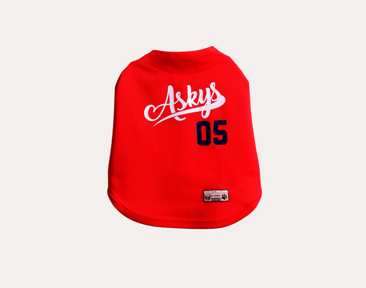 Tshirt | Askys Baseball Team