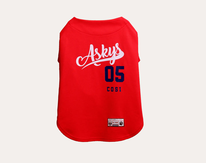 Tshirt | Askys Baseball Team