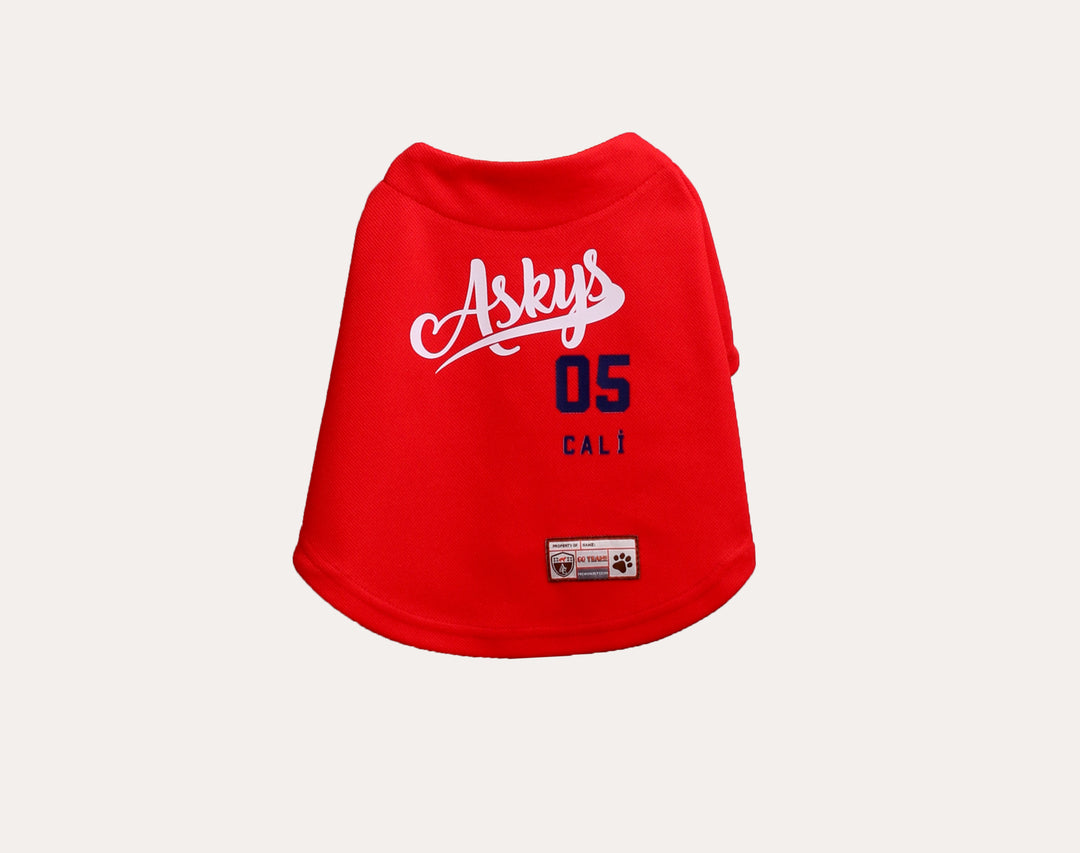 Tshirt | Askys Baseball Team