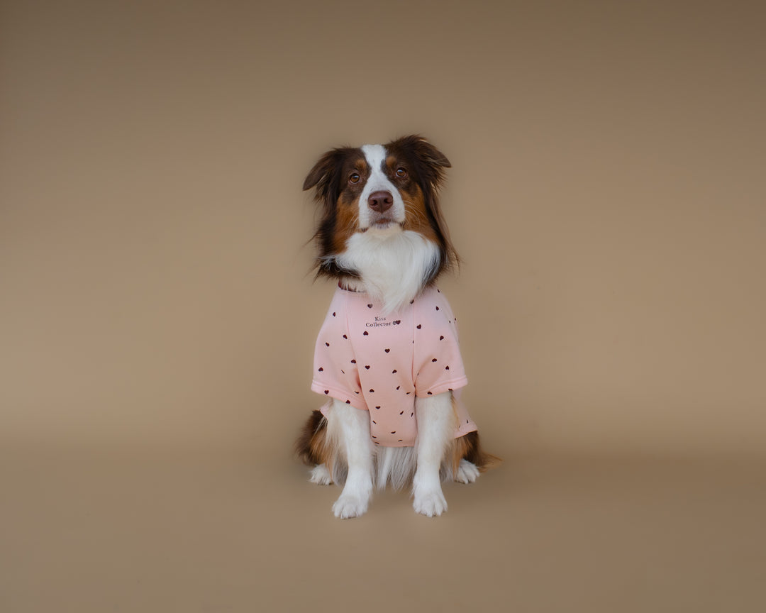 Kiss & Snuggle Club Sweatshirt | Rose Mist