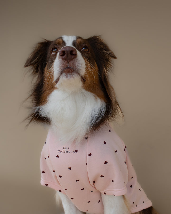 Kiss & Snuggle Club Sweatshirt | Rose Mist