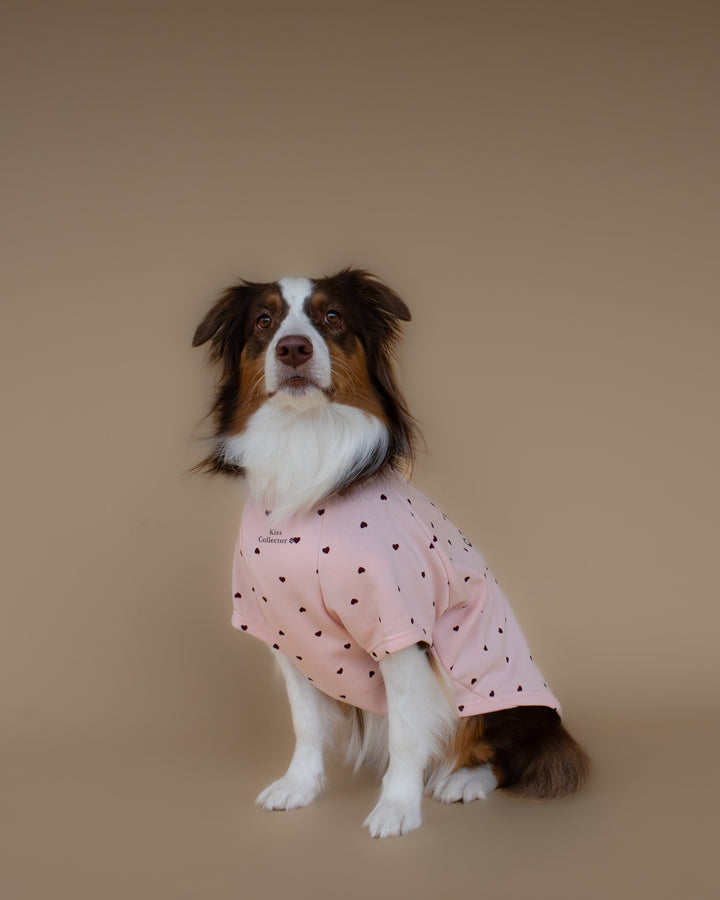 Kiss & Snuggle Club Sweatshirt | Rose Mist