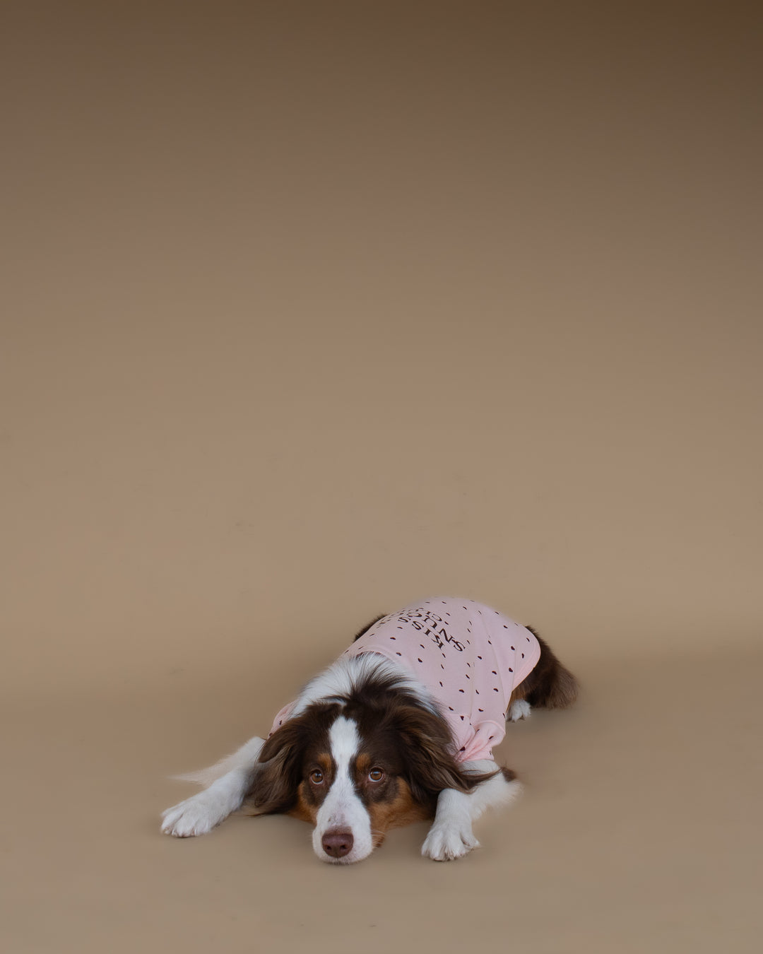 Kiss & Snuggle Club Sweatshirt | Rose Mist