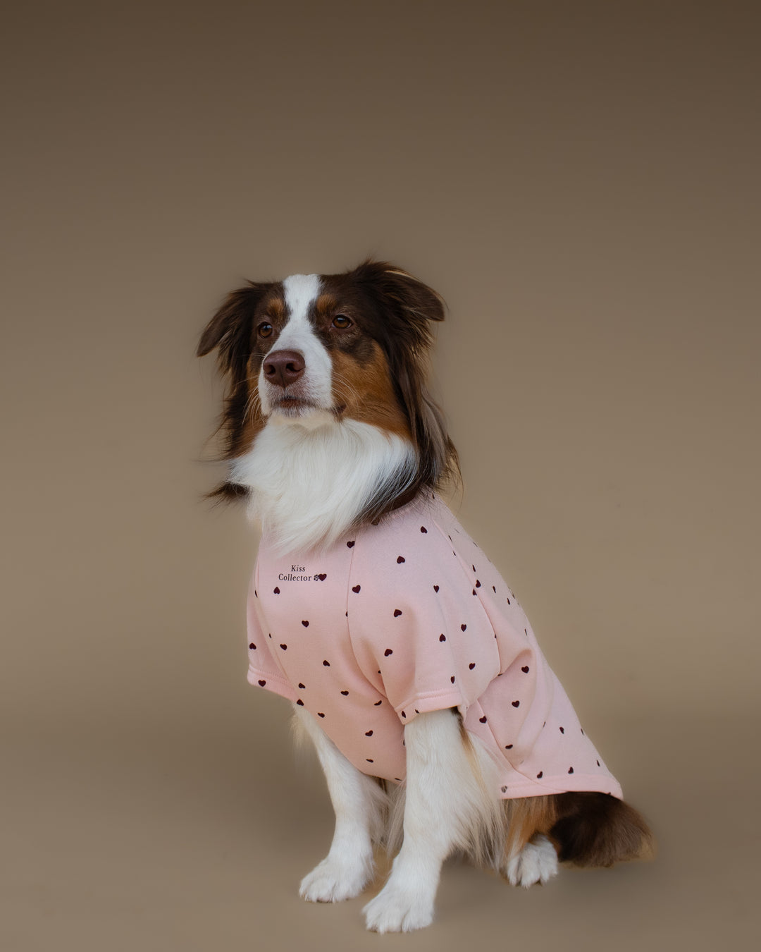 Kiss & Snuggle Club Sweatshirt | Rose Mist