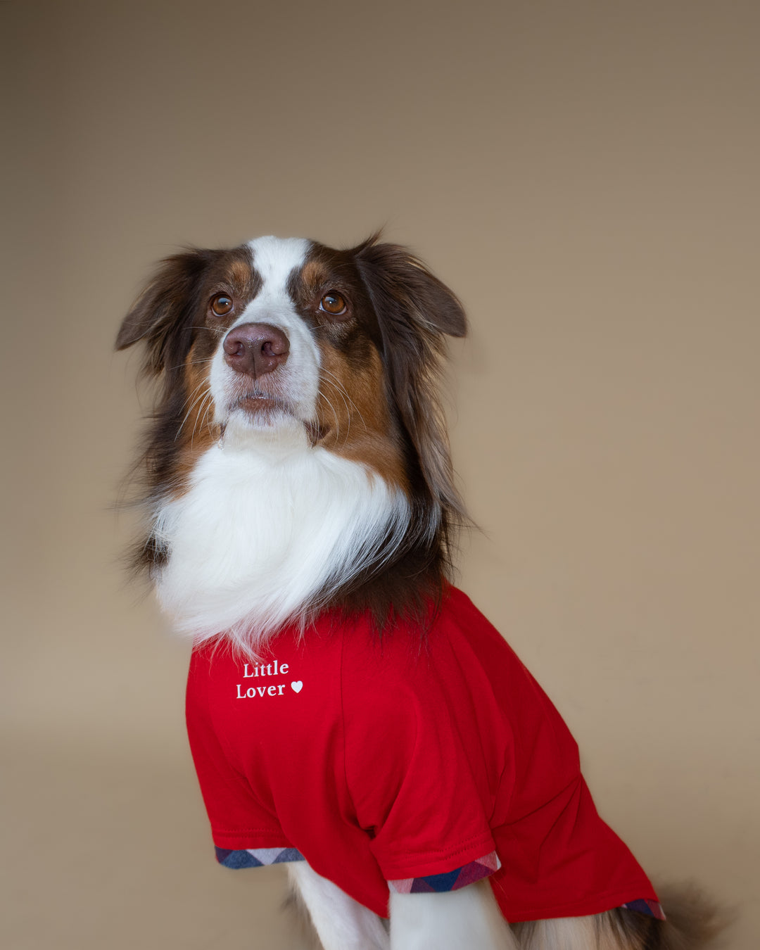 Love Club Tshirt | Crimson Check