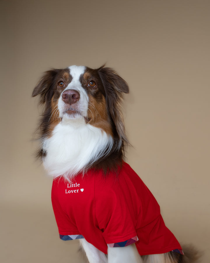 Love Club Tshirt | Crimson Check