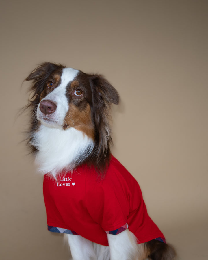 Love Club Tshirt | Crimson Check