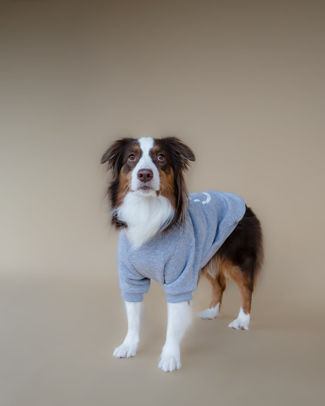Love Paws Sweatshirt | Heather Grey