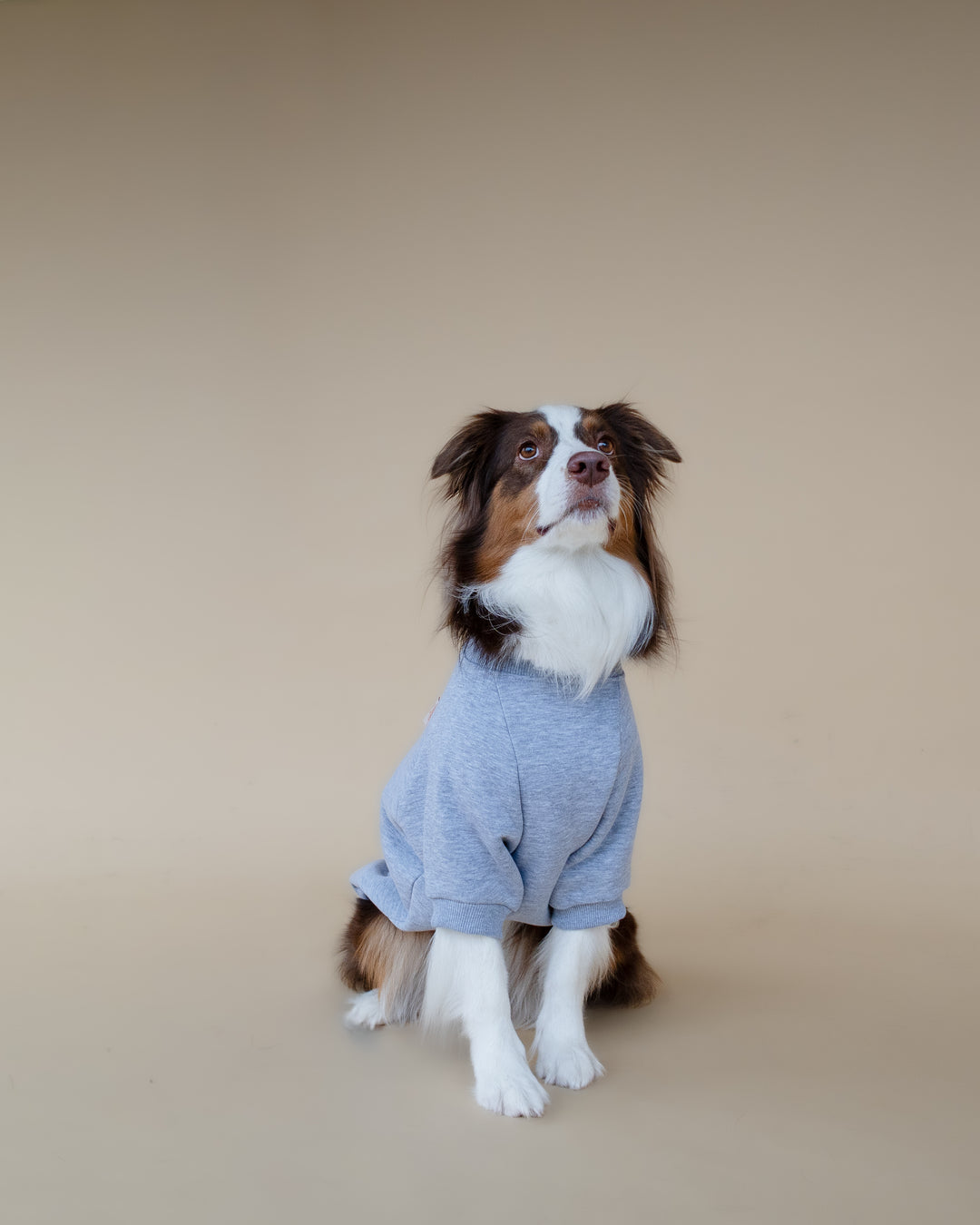 Love Paws Sweatshirt | Heather Grey