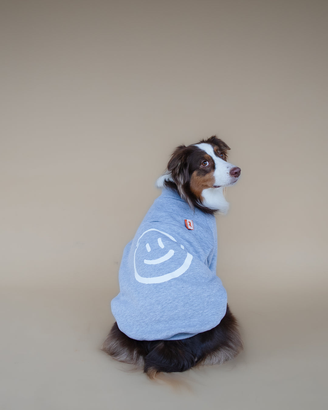 Love Paws Sweatshirt | Heather Grey