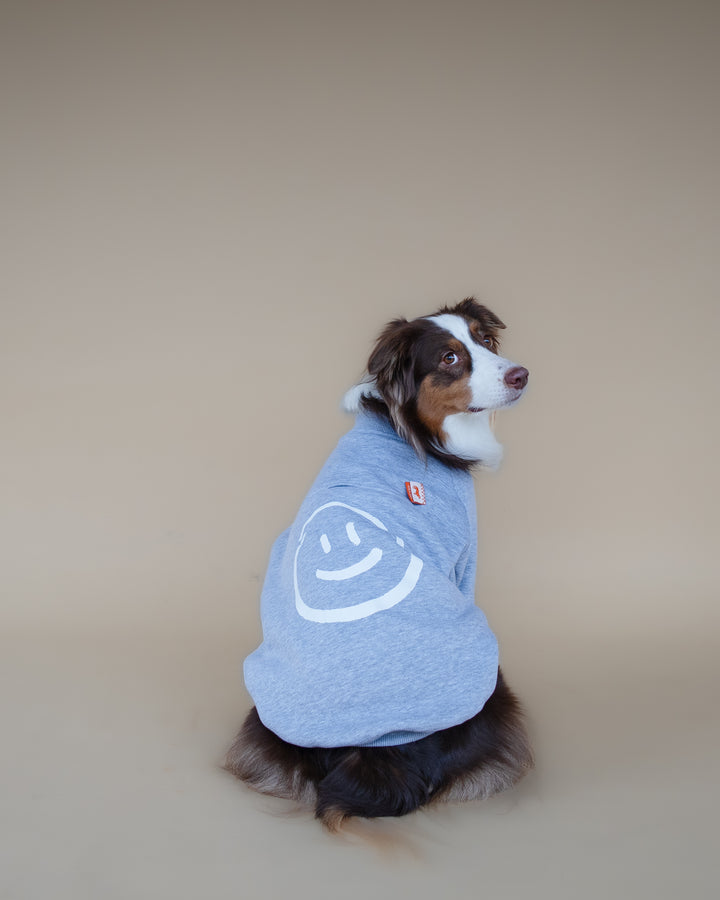 Love Paws Sweatshirt | Heather Grey