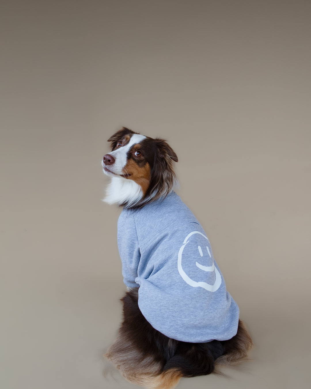 Love Paws Sweatshirt | Heather Grey