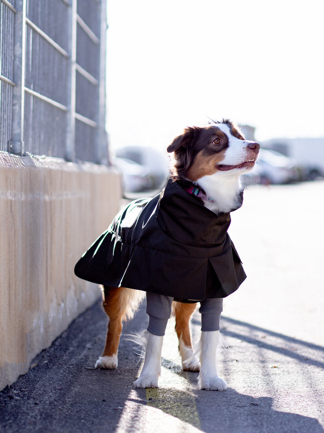 Trenchcoat | Deep Khaki