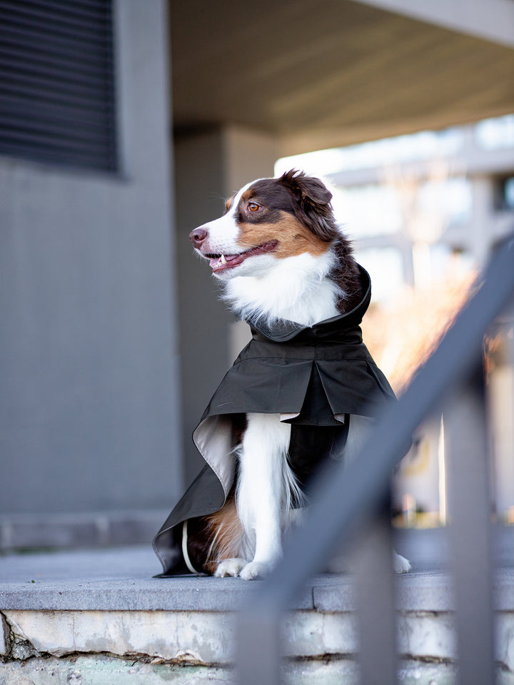 Trenchcoat | Deep Khaki