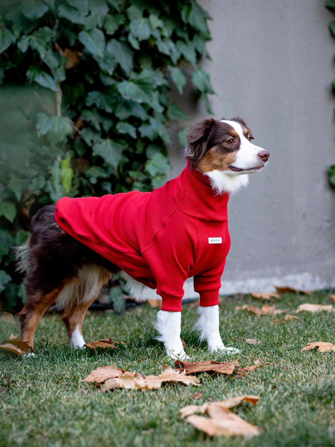 Turtleneck Tshirt | Santa Red