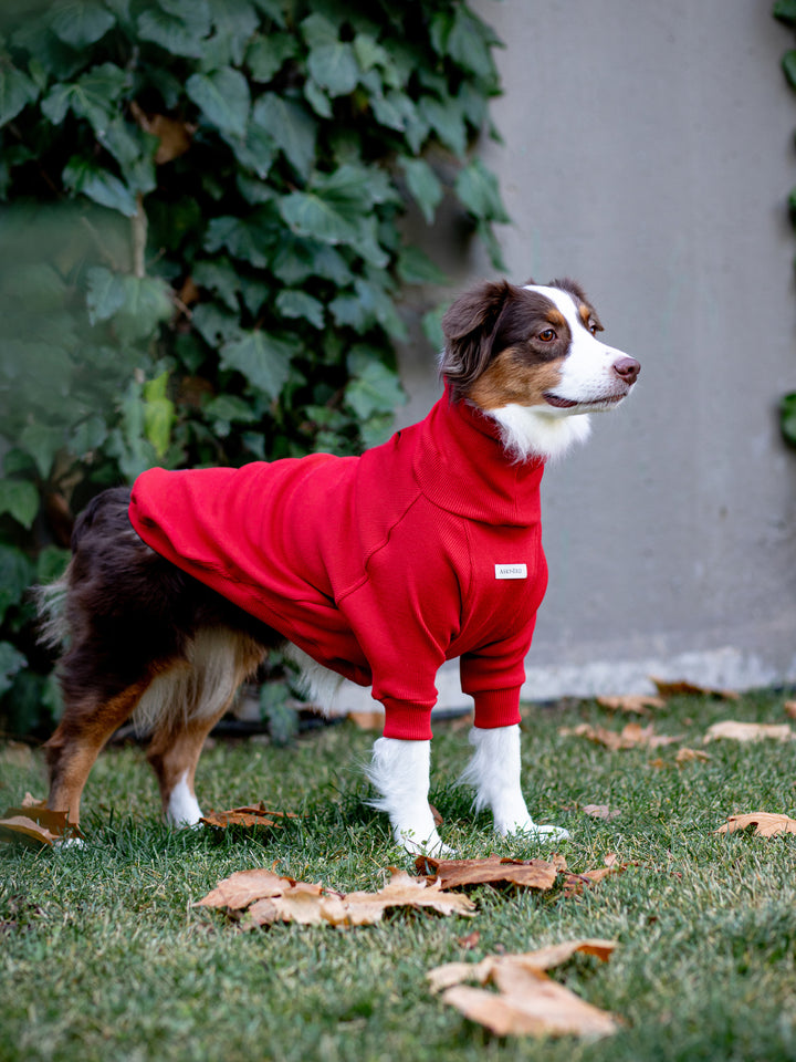 Turtleneck Tshirt | Santa Red