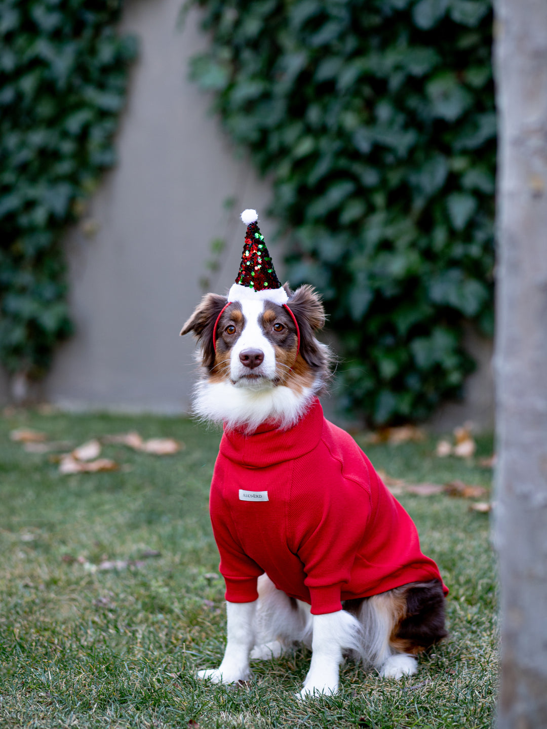 Turtleneck Tshirt | Santa Red