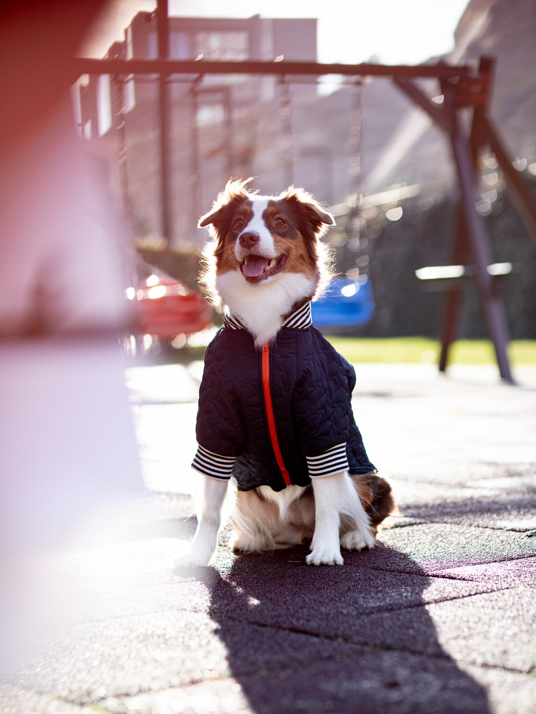 Bomber Jacket | Star