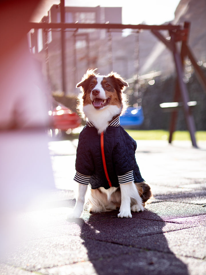 Bomber Jacket | Star