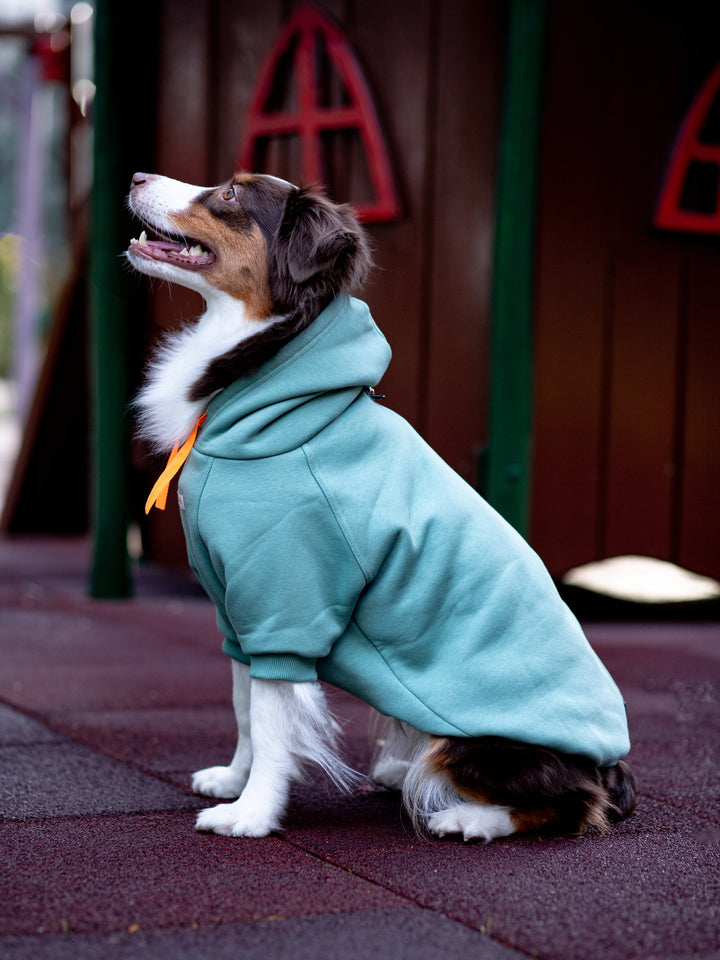 Soho Hoodie | Ocean Green