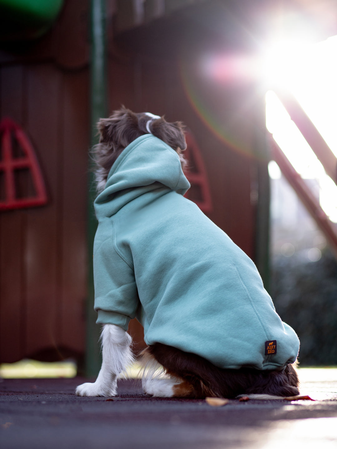 Soho Hoodie | Ocean Green