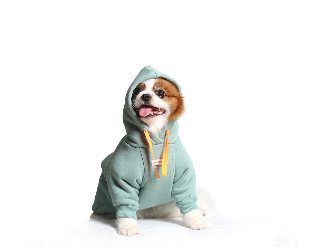 Soho Hoodie | Ocean Green