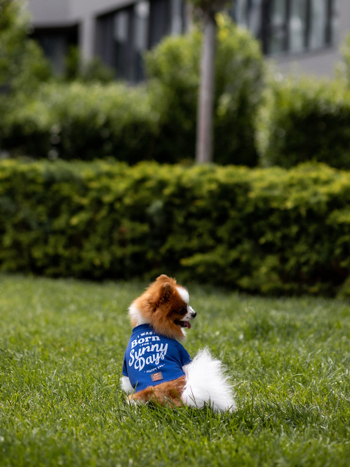 Tshirt | Happy Dog